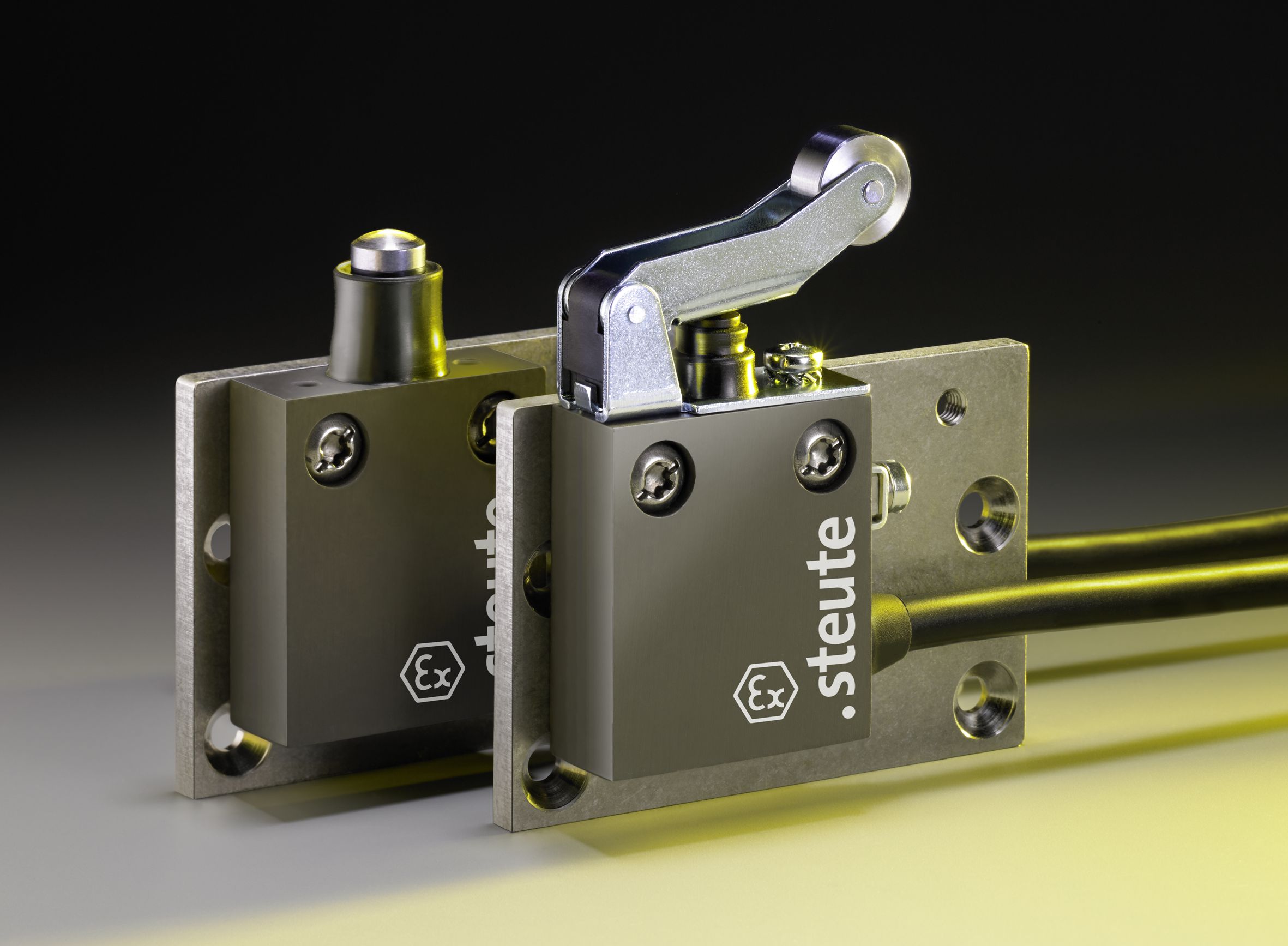 View Category ATEX Switches
