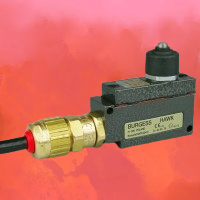 **see Steute EX12W-S for possible alt**